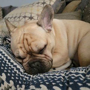 Meet your Posher, Annabelle